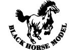 Black Horse Model